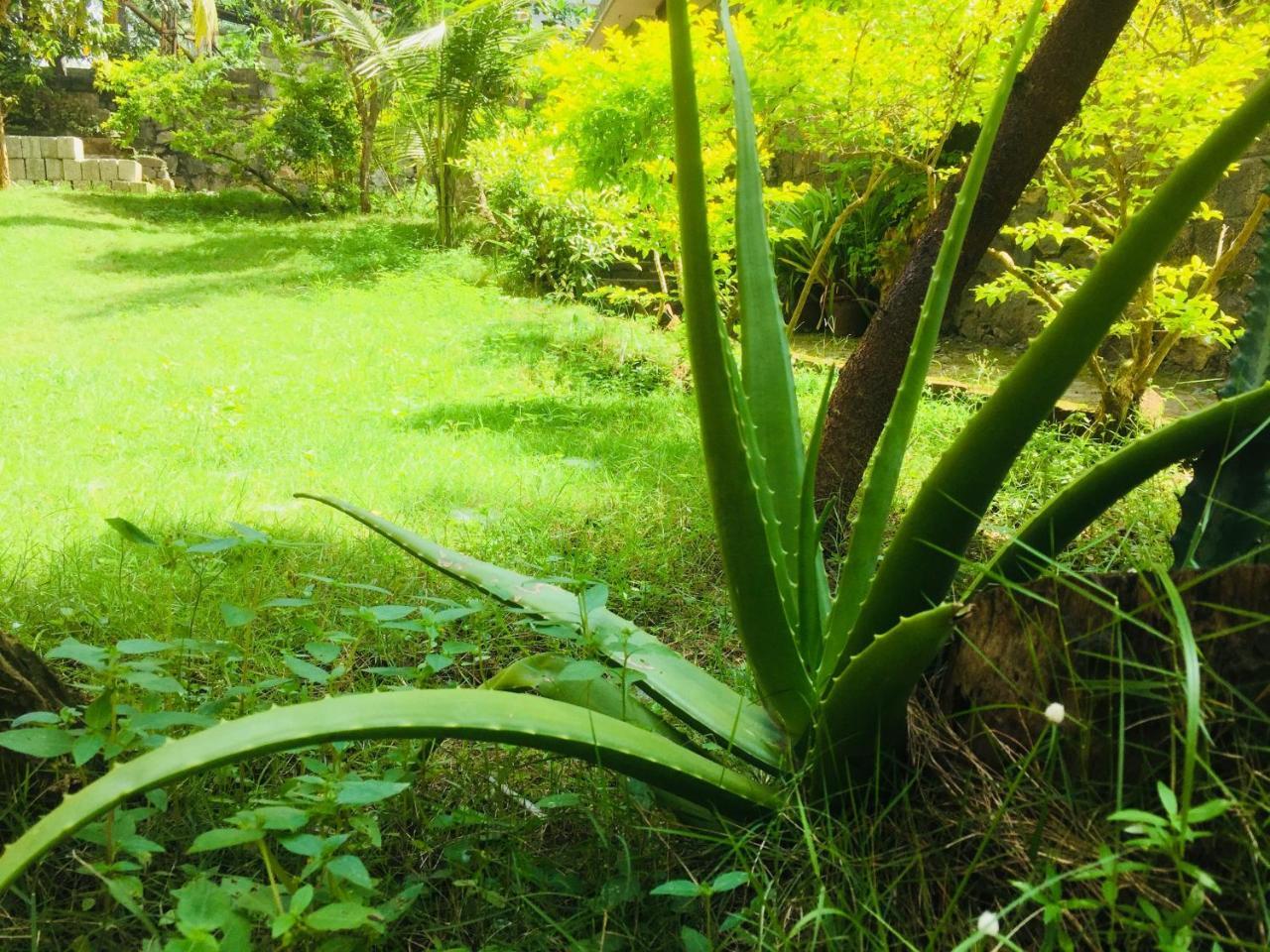Ganesh House Homestay Kovalam Kültér fotó