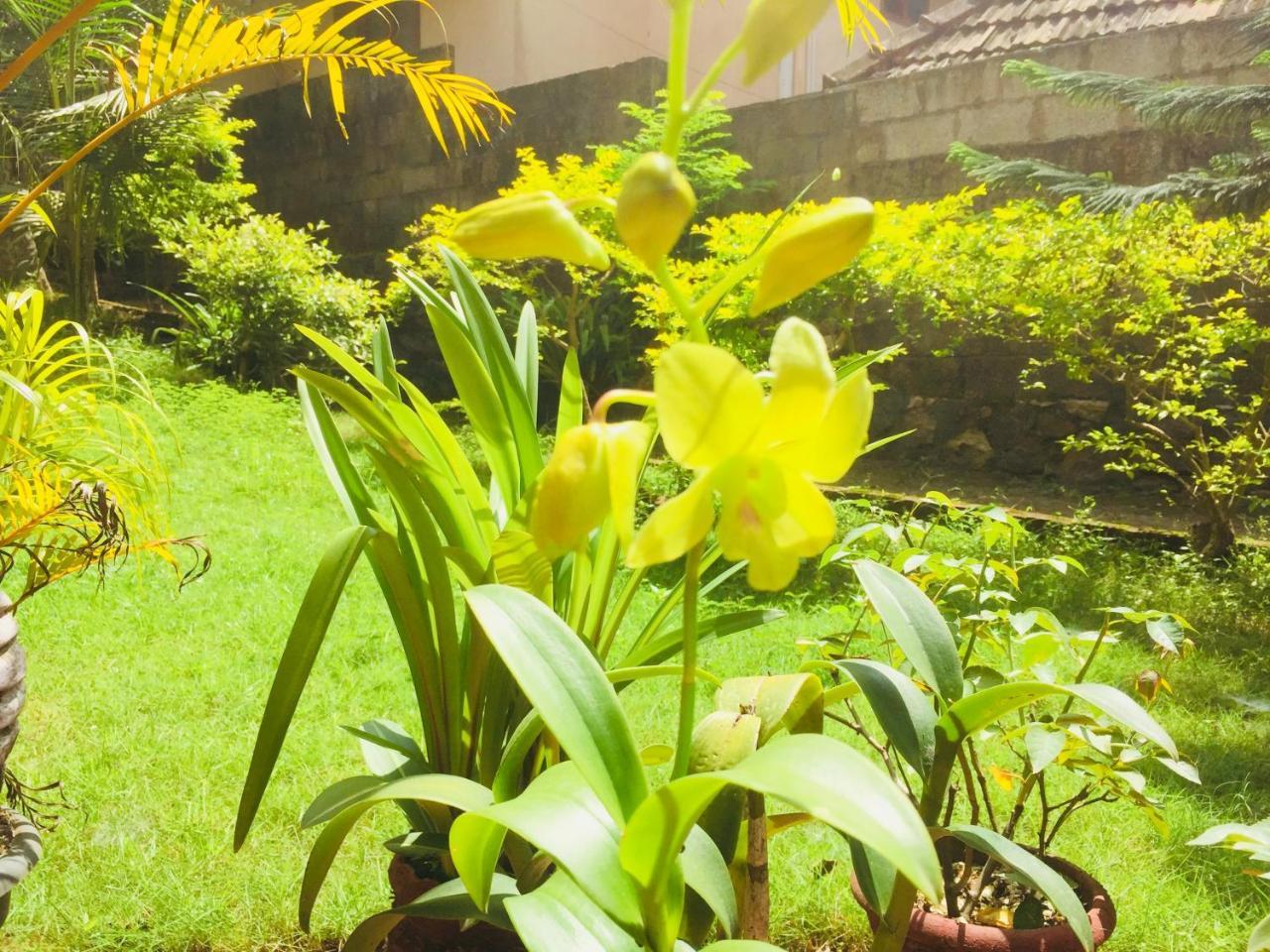 Ganesh House Homestay Kovalam Kültér fotó